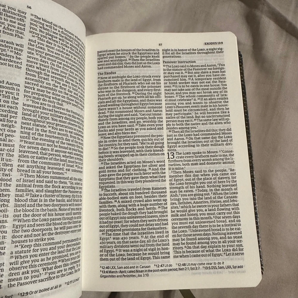 Holman Bible Publishers christian standard
